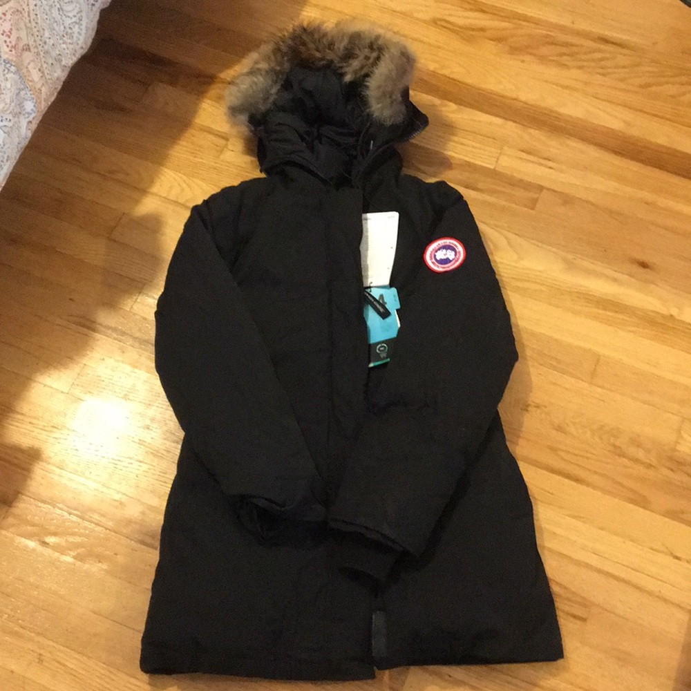 Canada goose down